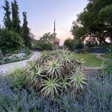 Villa-agave , By The Sea In Porto-rafti Outside Athens