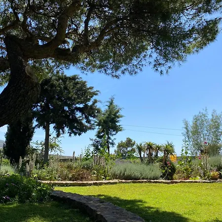Villa-agave , By The Sea In Porto-rafti Outside Athens *